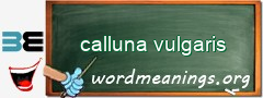 WordMeaning blackboard for calluna vulgaris